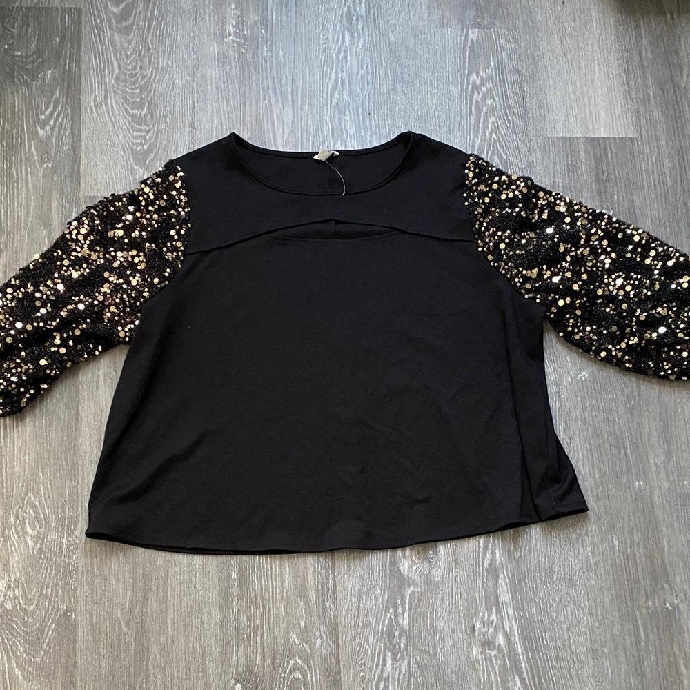 Cato Black Top with Sequin Sleeves